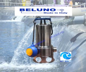 Bơm chìm nước thải toàn inox beluno 0.55kw